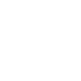 PALLADIUM